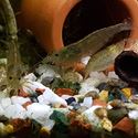 Picture of Fish Tube - 4cm Diam. | Open Both Ends