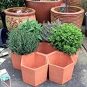 Picture of Terracotta Herb Pots / Herb Wheel 