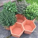 Picture of Terracotta Herb Pots / Herb Wheel 
