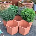 Picture of Terracotta Herb Pots / Herb Wheel 