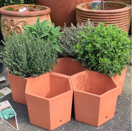 Picture for category Garden Planters