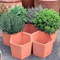 Picture of Terracotta Herb Pots / Herb Wheel 