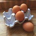 Picture of Egg Holder (6) Translucent White Full Glaze