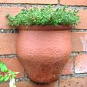 Picture of Rustic Wall Pot