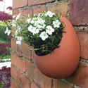 Picture of Egg Wall Pot - Small