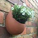 Picture of Egg Wall Pot - Small