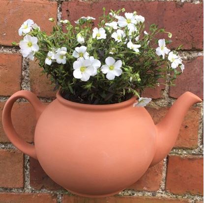 Picture of Teapot Wall Pot (Terracotta)
