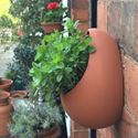 Picture of Egg Wall Pot - Small