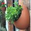Picture of Egg Wall Pot - Small