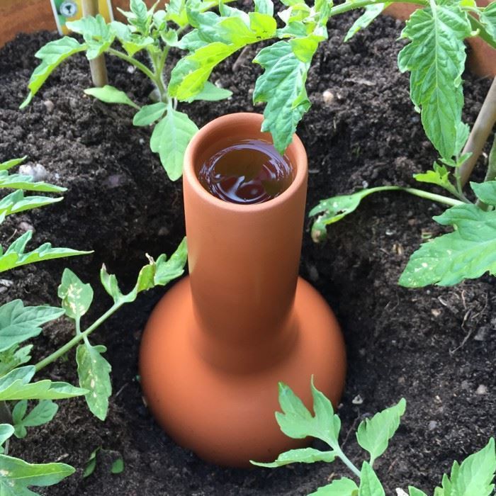 https://www.wmpot.co.uk/content/images/thumbs/0001391_olla-irrigation-pot.jpeg