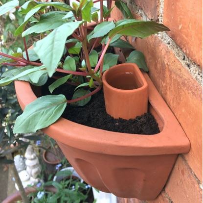 Picture of Wall Pot Waterer