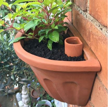 Picture of Wall Pot Waterer - Small