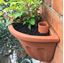 Picture of Wall Pot Waterer - Small