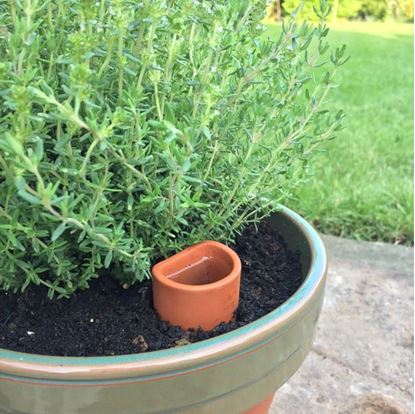 Picture of Plant Pot Waterer - Small