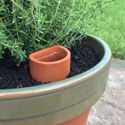 Picture of Plant Pot Waterer - Small