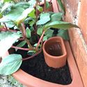 Picture of Wall Pot Fluted