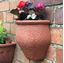 Picture of Rustic Wall Pot