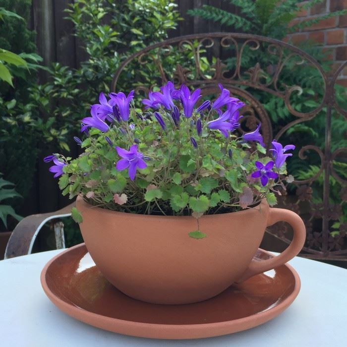 teacup planter - large weston mill pottery uk