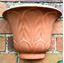 Picture of Acanthus Leaf Wall planter