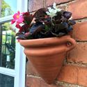 Picture of Amphora Wall Pot