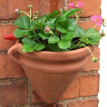 Wall Pots Weston Mill Pottery Uk - Flower Pot Hangers For Walls