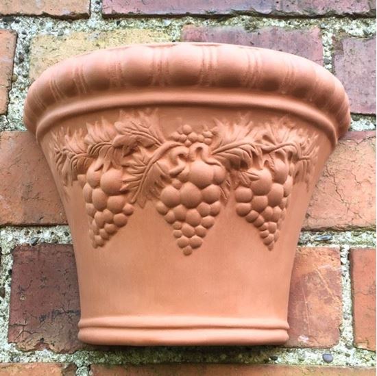 Picture of Grape Wall Pot