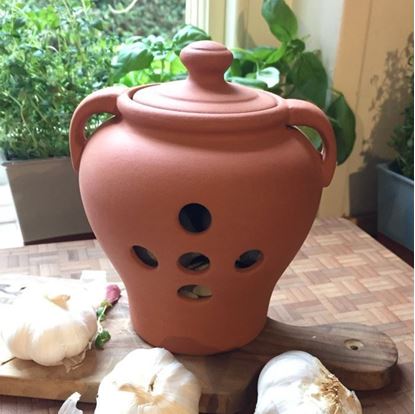 Prepworks by Progressive Terra Cotta Garlic Roaster 5 Inch 