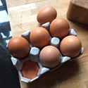 Picture of Egg Rack (6) Pale Grey Glazed