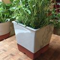 Picture of Windowsill Herb Pot - Pale Grey