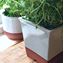 Picture of Windowsill Herb Pot - Pale Grey