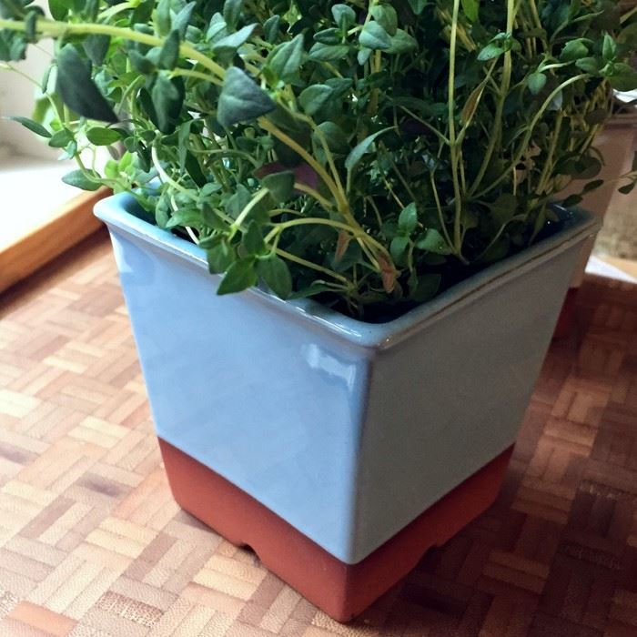 Windowsill Herb Pot Pale Blue Weston Mill Pottery Uk