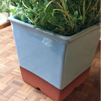 Picture of Windowsill Herb Pot - Pale Blue