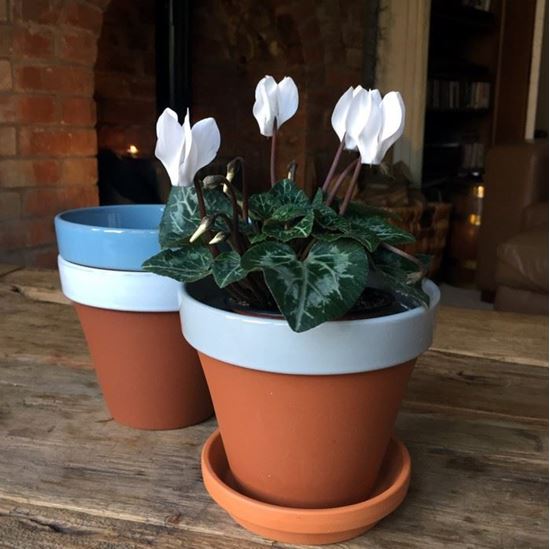Picture of Terracotta Flower Pot & Saucer - 13cm - Pale Grey Glazed