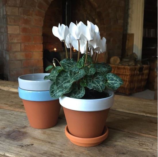 Picture of Terracotta Flower Pot & Saucer - 11cm - White Glazed