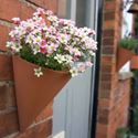 Picture of Cone Wall Planter