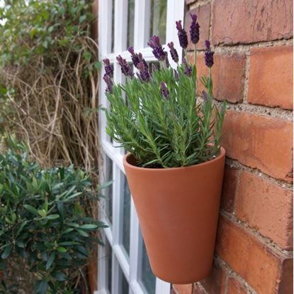 Picture of Long Tom Wall Planter