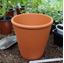 Picture of Long Tom Plant Pot ROS16 (16 x 16cm) 
