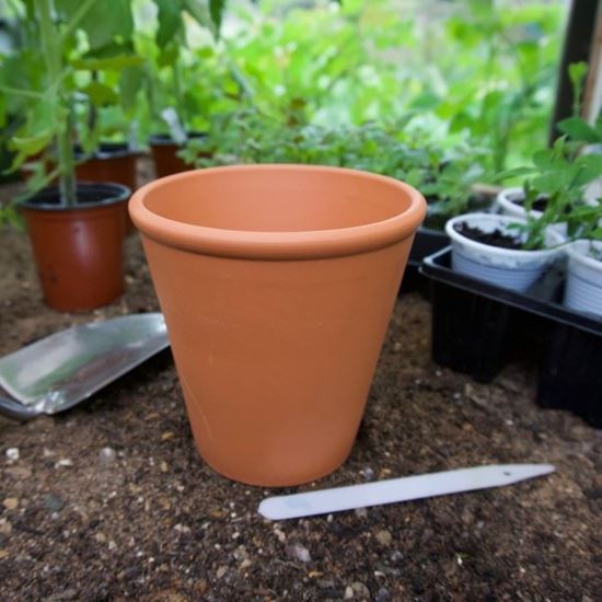 Picture of Long Tom Plant Pots ROS12 (12cm dia) 