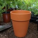 Picture of Elegant Long Tom Pots  (21 x 25cm h) 