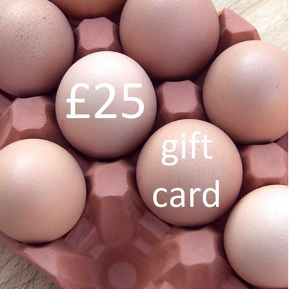 Picture of £ 25 Virtual wmpot Gift Card