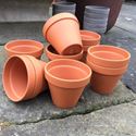 Picture of Terracotta Plant Pots F13 - (13cm dia) 