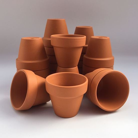 Picture of Terracotta Plant Pots - F5 (4.7cm dia)