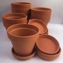 Picture of Terracotta Plant Pots With Saucers - F13 cm & S11 cm