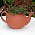 Picture of Teapot Planter | Terracotta | Extra Large