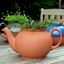 Picture of Teapot Planter | Terracotta | Extra Large