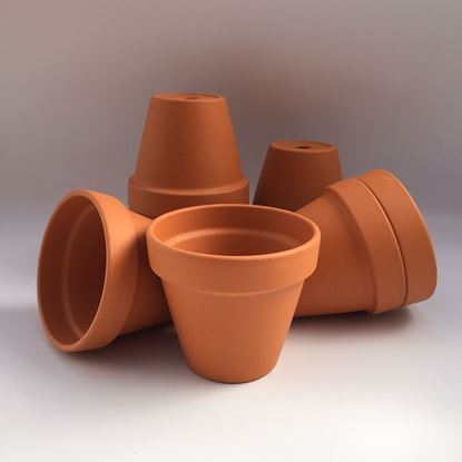 Picture of Terracotta Plant Pots F11 (11cm dia) 