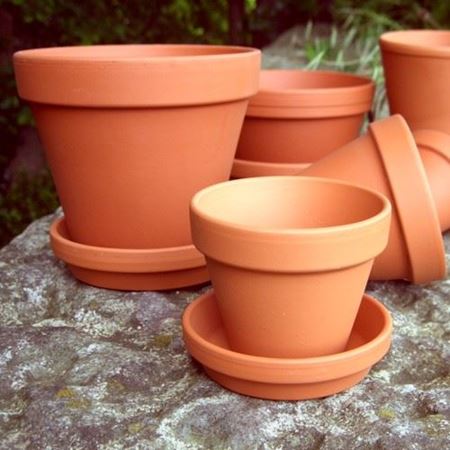 Picture for category Flowerpots & Saucers