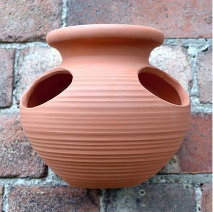 Picture of Strawberry Jar Wall Pot