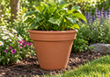 Picture of Terracotta Plant Pot - F37  (37cm dia) 