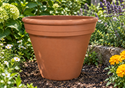 Picture of Terracotta Plant Pot - F37  (37cm dia) 